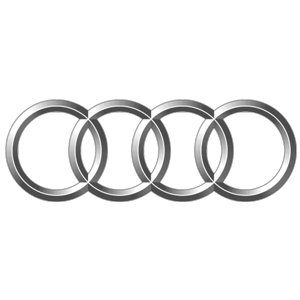 AUDI 300X300